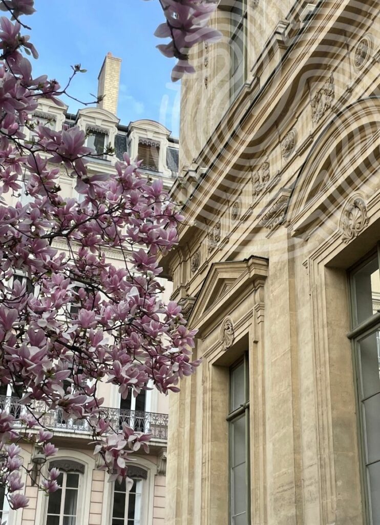 Façade du cabinet avec arbre en fleurs à Lyon